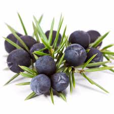 Pure Juniper Berry Essential Oil