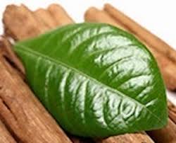 Pure Cinnamon Leaf Essential Oils
