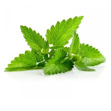 Pure Spearmint Essential Oil